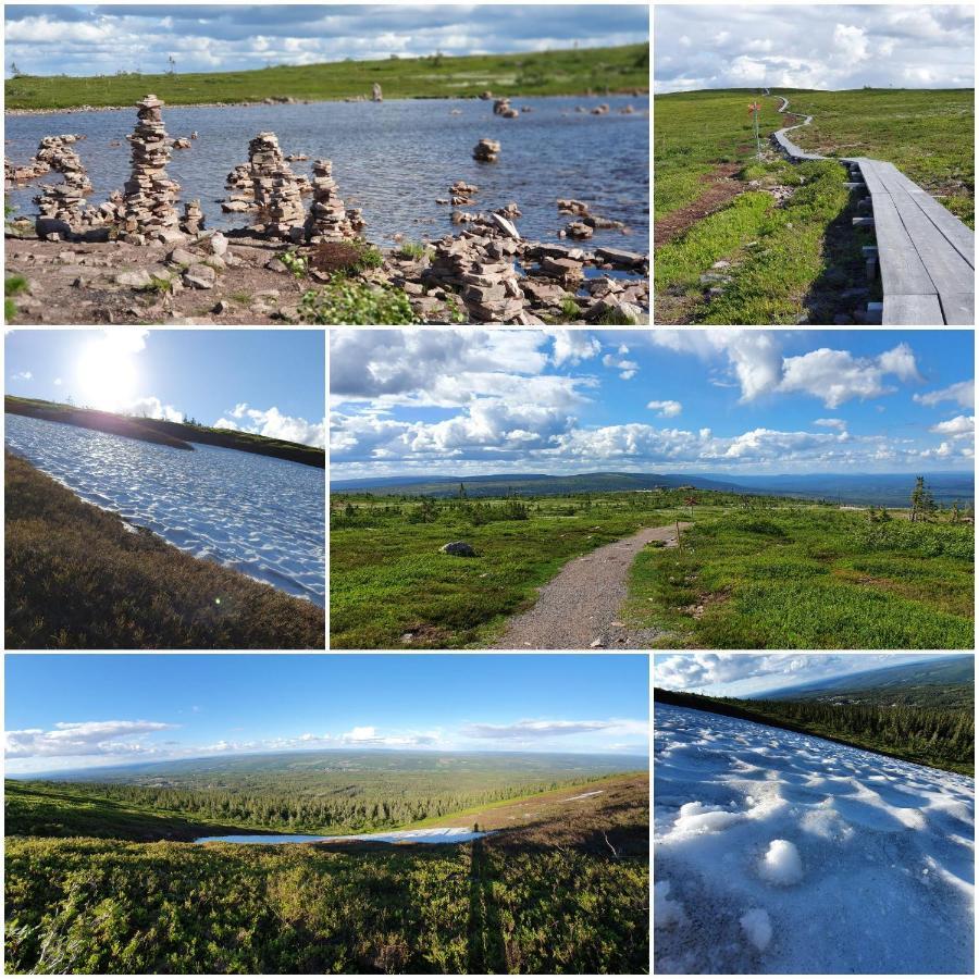 Вилла Backamgarden Сален Экстерьер фото